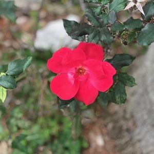 Meet your Posher, Kylie